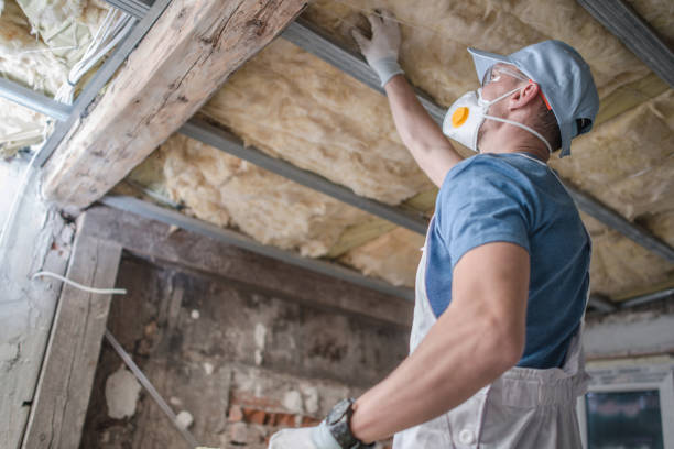 Best Insulation Inspection Services  in Manhasset, NY