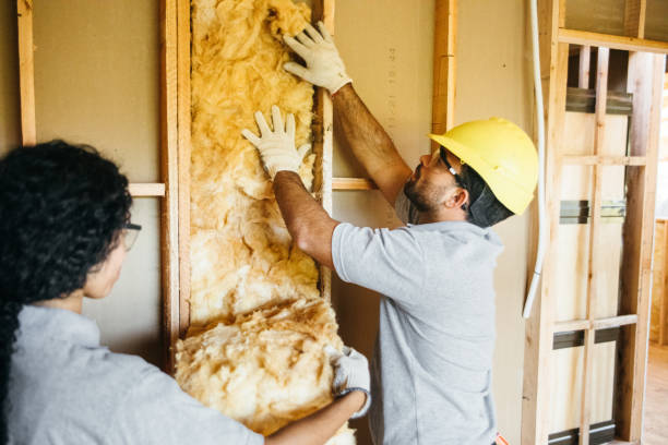 Insulation Inspection Services